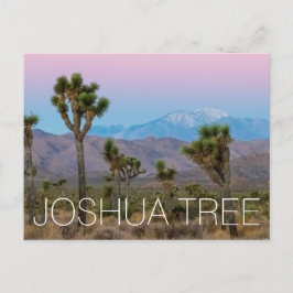 Cartão Postal Joshua Tree