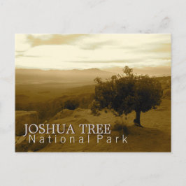 Cartão Postal Joshua Tree National Park
