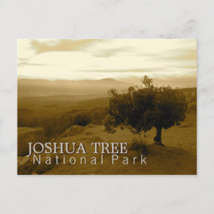 Cartão Postal Joshua Tree National Park