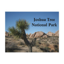 Joshua Tree National Park California Viagem USA