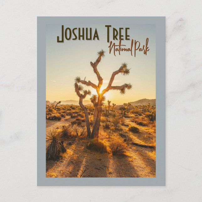 Cartão Postal Joshua Tree National Park Souvenir Gift (Frente)