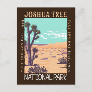 Cartão Postal Joshua Tree National Park Tule Primaveras Sofridos