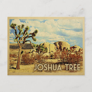 Cartão Postal Joshua Tree Postcard California Viagens vintage