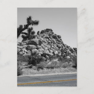 Cartão Postal Joshua Tree Rocks with Road - California Photo