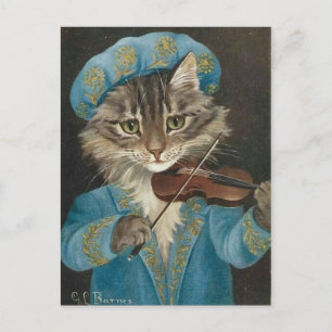 Cartão Postal Joueur de violon chat