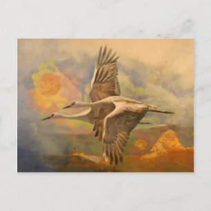 Cartão Postal Joy, mensagem da Apolo