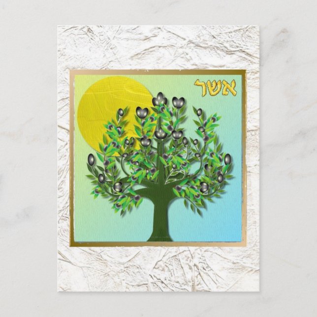 Cartão Postal Judaica 12 Tribos De Israel Asher (Frente)