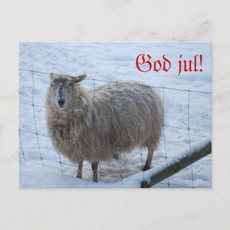 Cartão Postal Julkort - Fåret Fjun