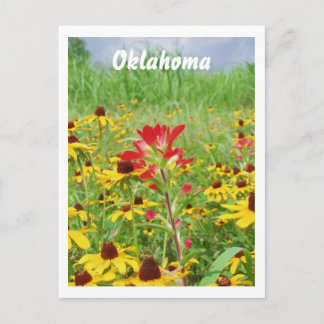 Cartão Postal july2007 indian paintbursh, Oklahoma