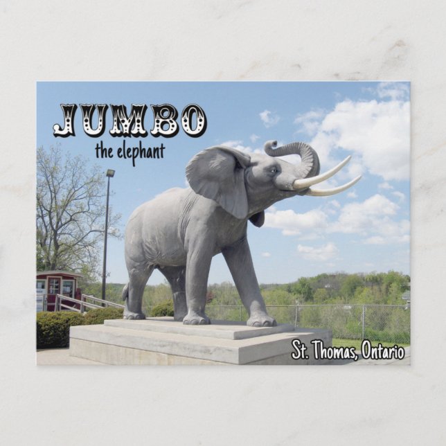 Cartão Postal Jumbo o Elefante - Rua Thomas, Ontário, Canadá (Frente)