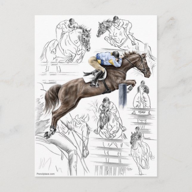 Cartão Postal Jumper Horses Fences Montage (Frente)