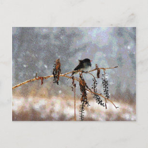 Cartão Postal Junco na Neve