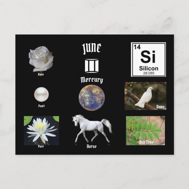 Cartão Postal June Postcard (Frente)