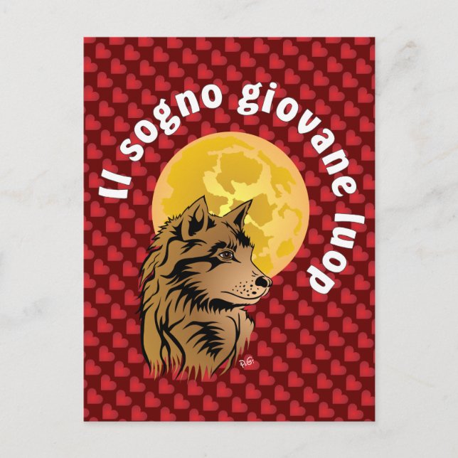 Cartão Postal junger träumender Wolf Postkarte (Frente)