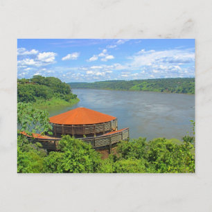 Cartão Postal Jungle in Brazil