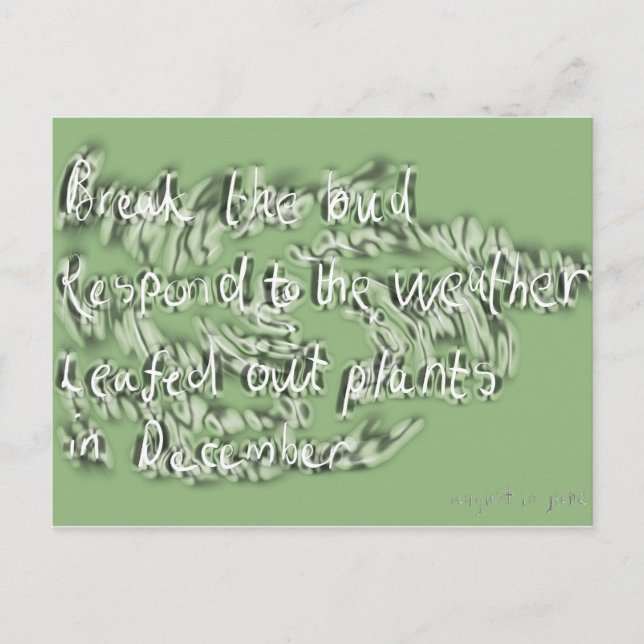 Cartão Postal junho (Frente)