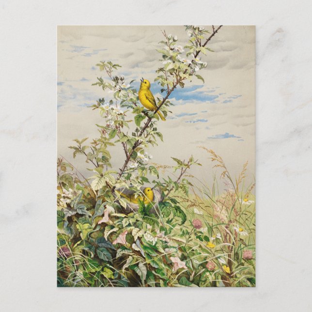 Cartão Postal Junho | Fidelia Bridges (Frente)