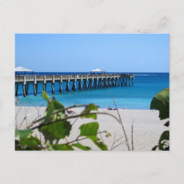 Cartão Postal Juno Beach Pier