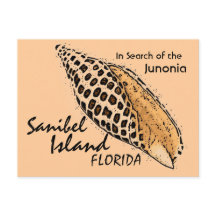 Junonia shell Sanibel Island humorista postal