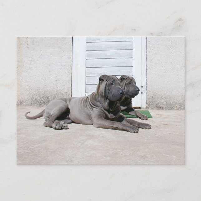 Cartão Postal Juntos (Frente)