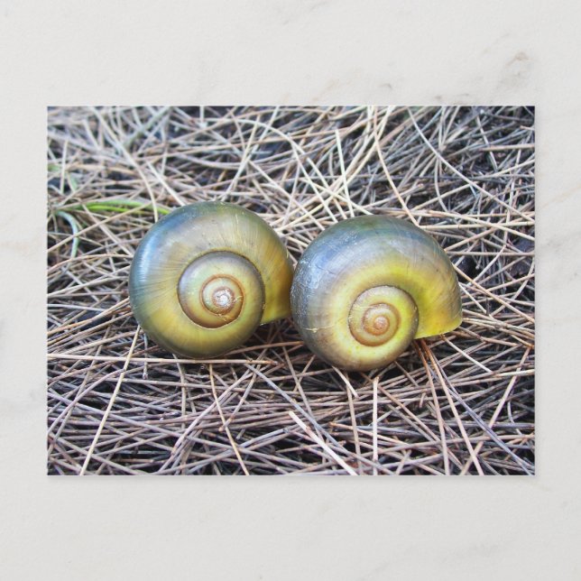 Cartão Postal Juntos Aquecemos (Frente)