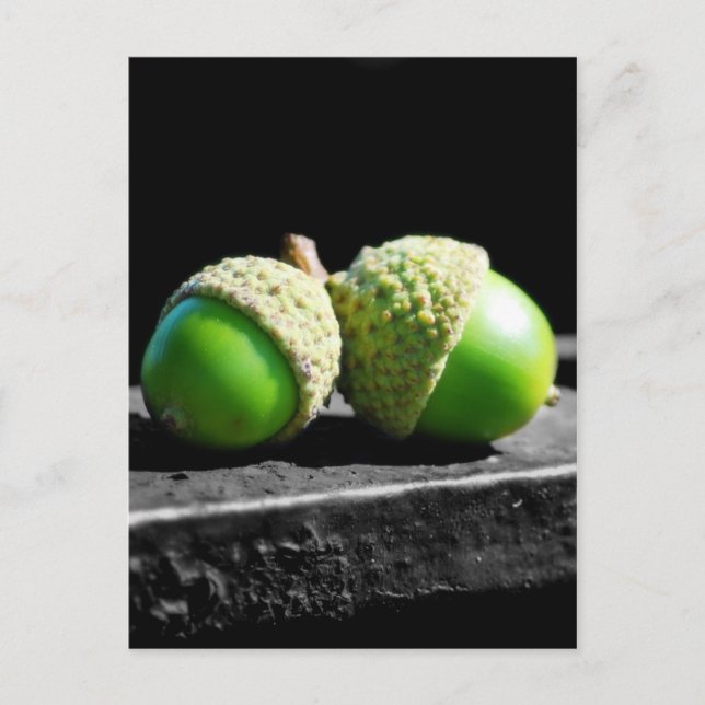 Cartão Postal Juntos para sempre (Frente)