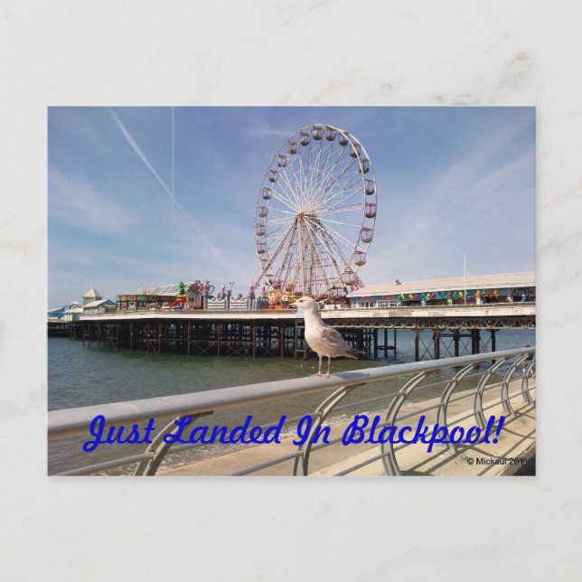 Cartão Postal Just Landed (Frente)