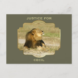 Cartão Postal Justiça para Cecil o Leão Matado na África