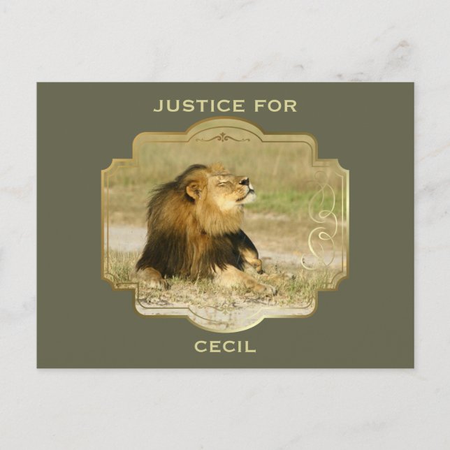 Cartão Postal Justiça para Cecil o Leão Matado na África (Frente)