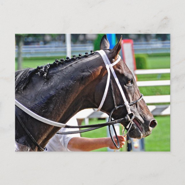 Cartão Postal Justin Phillip captura Vanderbilt (Frente)