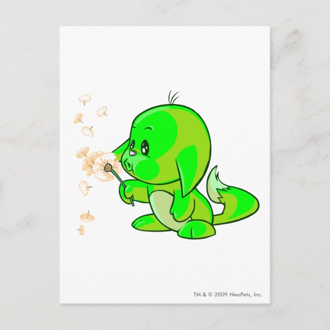 Cartão Postal Kacheek Glowek (Frente)