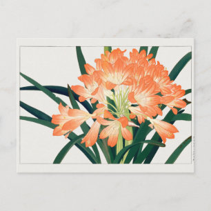 Cartão Postal Kaffir lily por Tanigami Konan