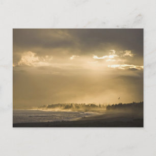 Cartão Postal Kaikoura, Nova Zelândia. Kaikoura é conhecida por