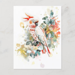 Cartão Postal Kakadu, Cappado Vermelho, com Aquarela