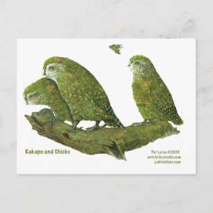 Cartão Postal kakapo e pintinhos