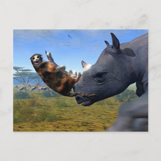 Cartão Postal Kalahari Express (Frente)