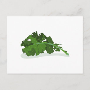 Cartão Postal Kale Leaf