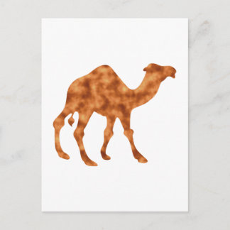 Cartão Postal Kamel camel