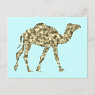 Cartão Postal Kamel camel