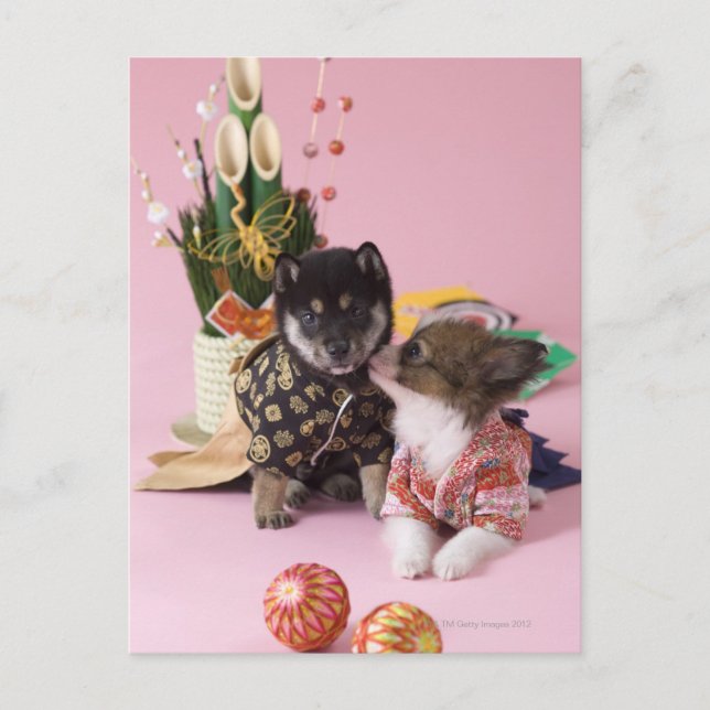 Cartão Postal Kanagawa, Honshu, Japão (Frente)