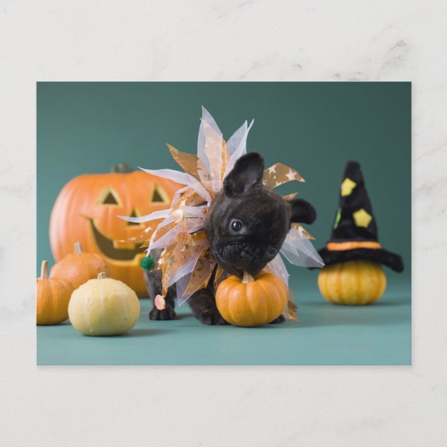 Cartão Postal Kanagawa, Honshu, Japão (Frente)