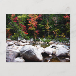 Cartão Postal Kancamagus Highway in Autumn
