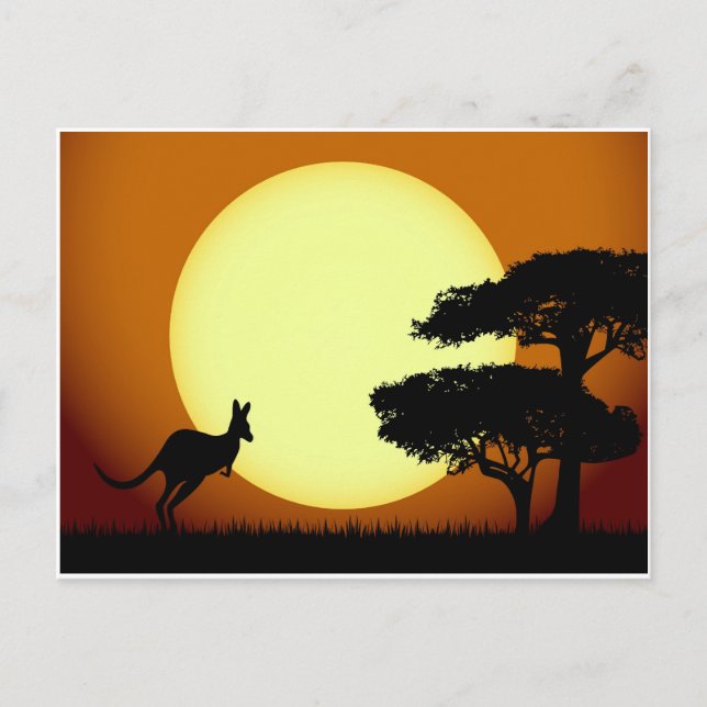 Cartão Postal Kangaroo ao pôr do sol (Frente)