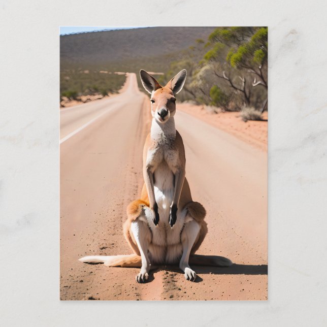 Cartão Postal Kangaroo no Exterior (Frente)