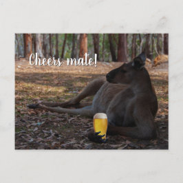 Cartão Postal Kangaroo Relaxando com Cerveja Austrália Engraçado