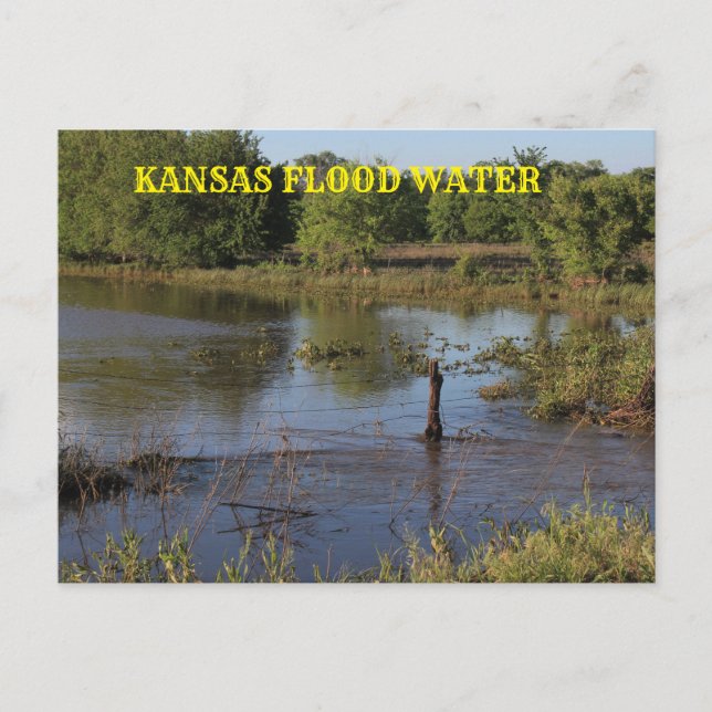 Cartão Postal Kansas Flood water em um campo de fazenda.Poste Ca (Frente)