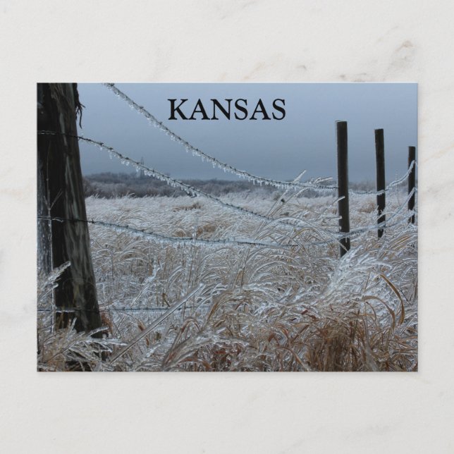 Cartão Postal Kansas Ice numa cerca (Frente)
