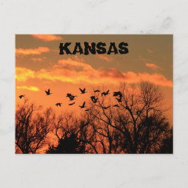 Cartão Postal Kansas Ouro Sunset com gansos, árvores. Placa de p