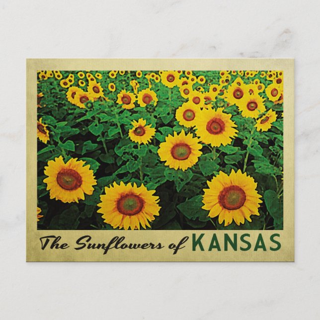 Cartão Postal Kansas Sunflower (Frente)