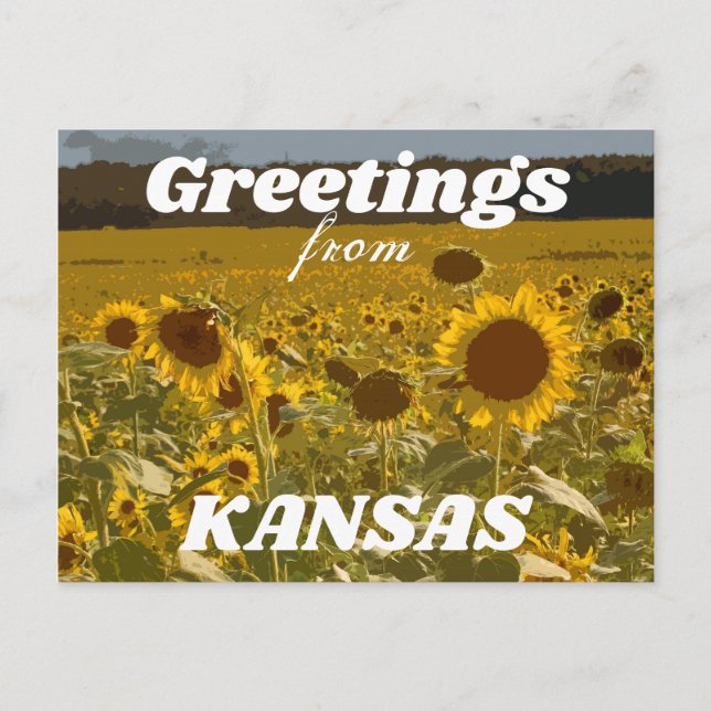 Cartão Postal Kansas Sunflower Saudações (Frente)